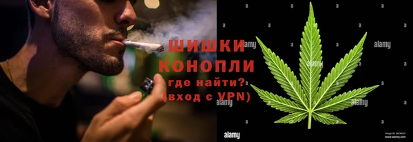 ПСИЛОЦИБИНОВЫЕ ГРИБЫ Аркадак