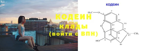 ПСИЛОЦИБИНОВЫЕ ГРИБЫ Аркадак